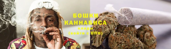 ПСИЛОЦИБИНОВЫЕ ГРИБЫ Алзамай