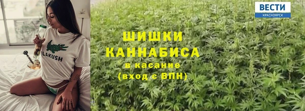 ПСИЛОЦИБИНОВЫЕ ГРИБЫ Алзамай