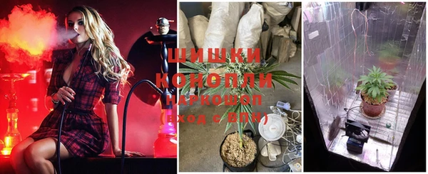 ПСИЛОЦИБИНОВЫЕ ГРИБЫ Алзамай
