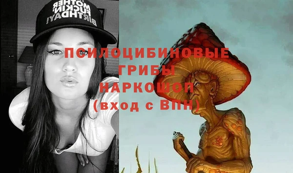 ПСИЛОЦИБИНОВЫЕ ГРИБЫ Алзамай