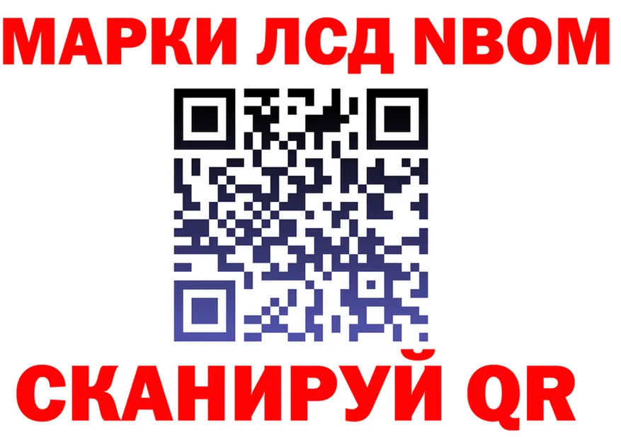 Альфа ПВП СК вход площадка гидра Шацк