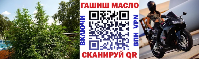 Дистиллят ТГК концентрат Шацк