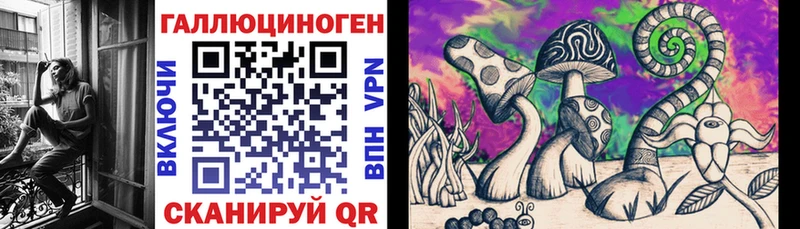 сколько стоит Шацк Галлюциногенные грибы прущие грибы